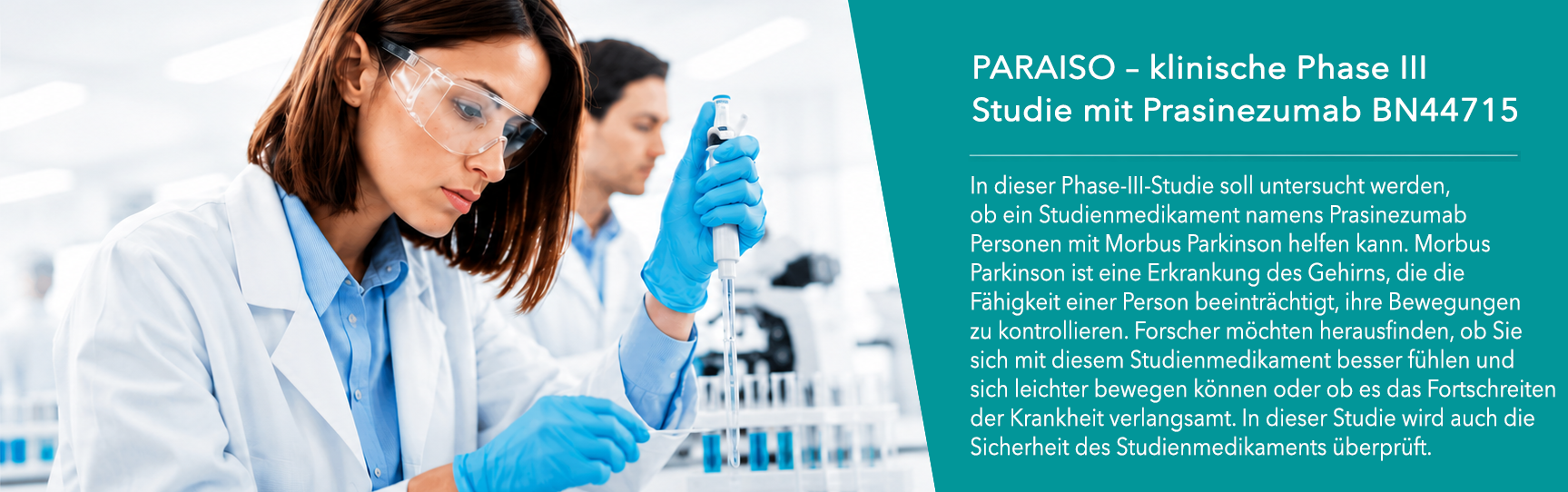 GK_studie_Paraiso